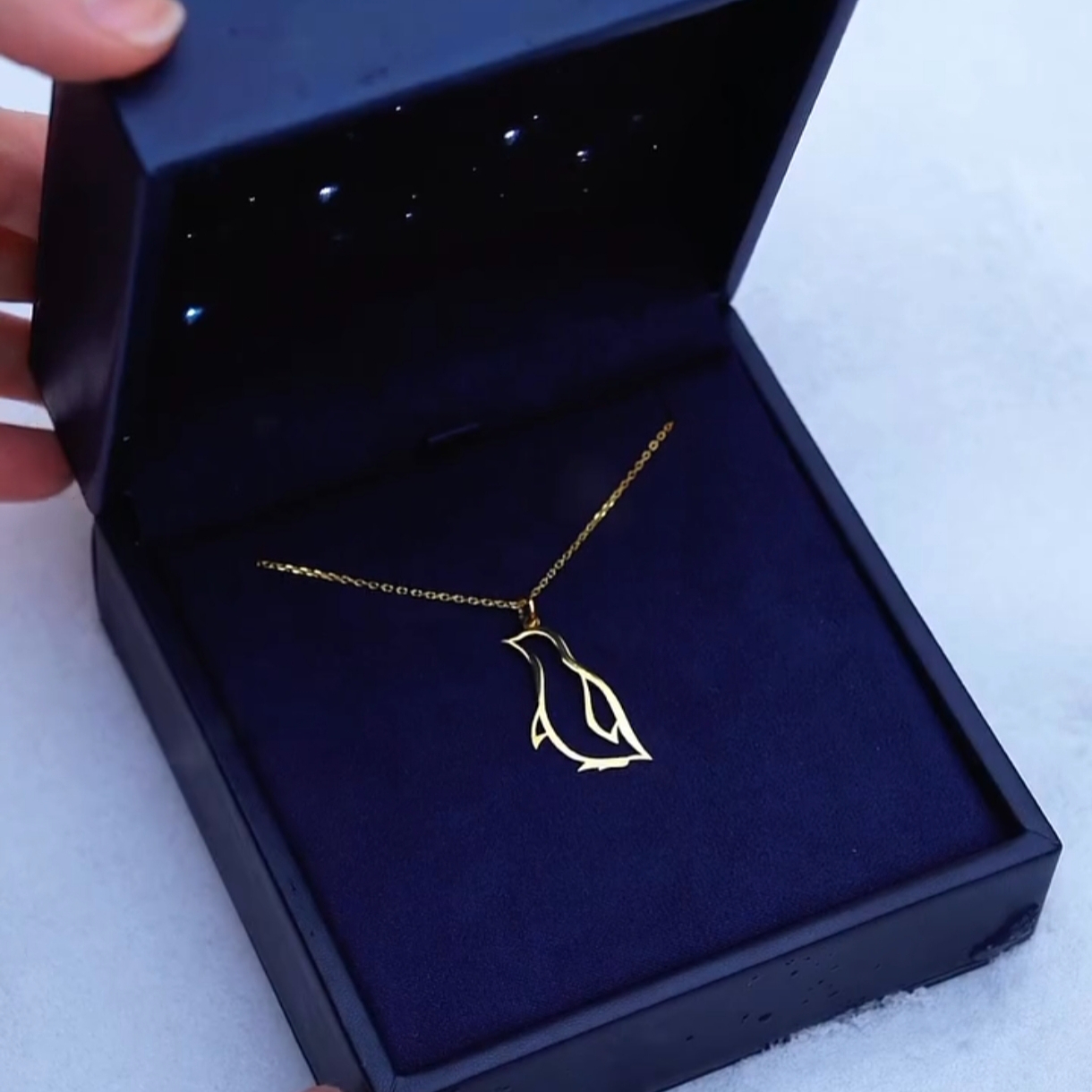 Nafis va zamonaviy taqinchoq